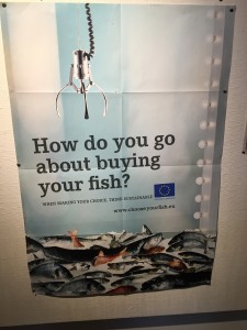 How do you buy your fish?